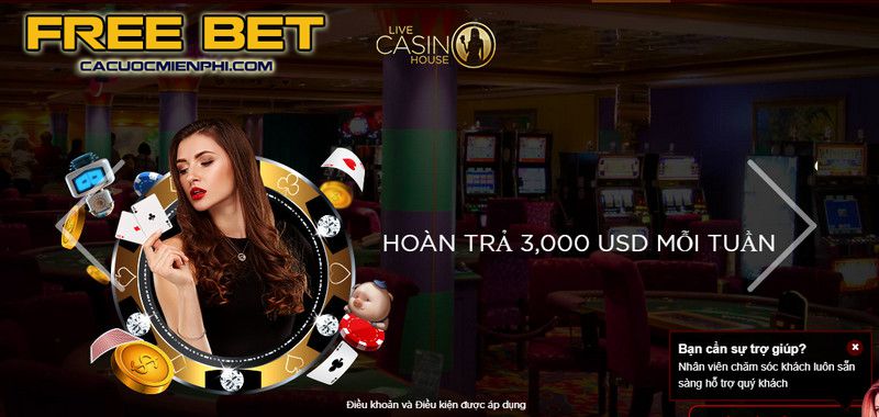 For88 đã chọn ra những trang web For88 tốt nhất năm 2026 - For88