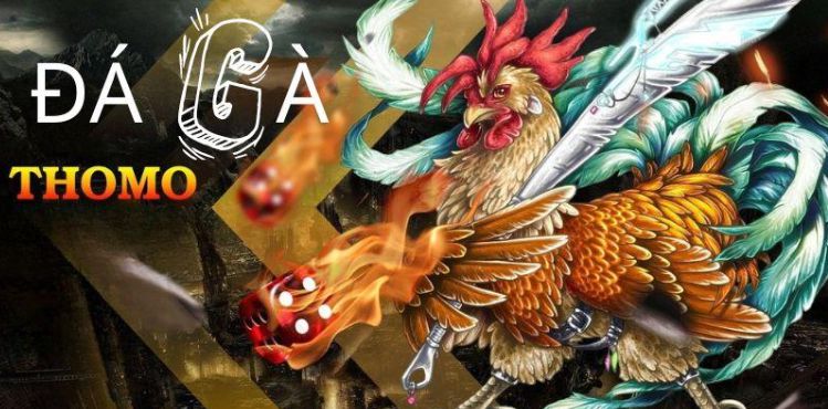 Ưu đãi và khuyến mãi đặc biệt của Gi8 - Gi8