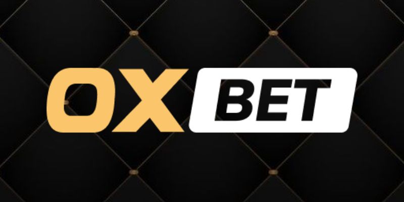 Lợi ích khi trở thành nhà phân phối Stake - Stake