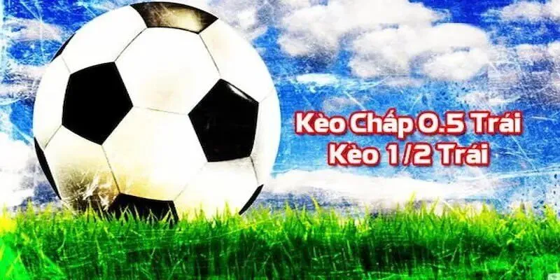 Ưu điểm độc quyền của Vz99 - Vz99