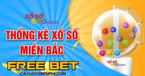 Điều khoản và điều kiện tham gia các hoạt động khuyến mãi của Xvip - Xvip