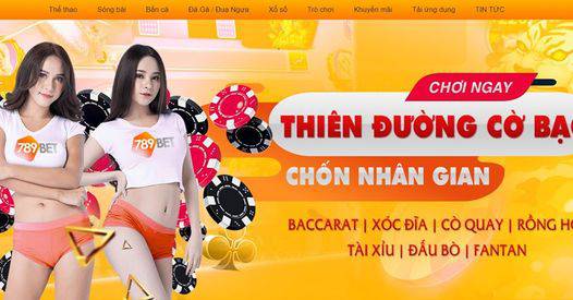 Tổng quan về đơn đăng ký Wibo88 - Wibo88