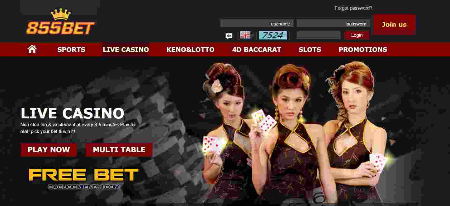Trò chơi bài trên nền tảng game Win55 - Win55