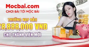 Tôi có thể liên hệ với bộ phận chăm sóc khách hàng của Sun52 bằng cách nào nếu gặp vấn đề khi rút tiền? - Sun52