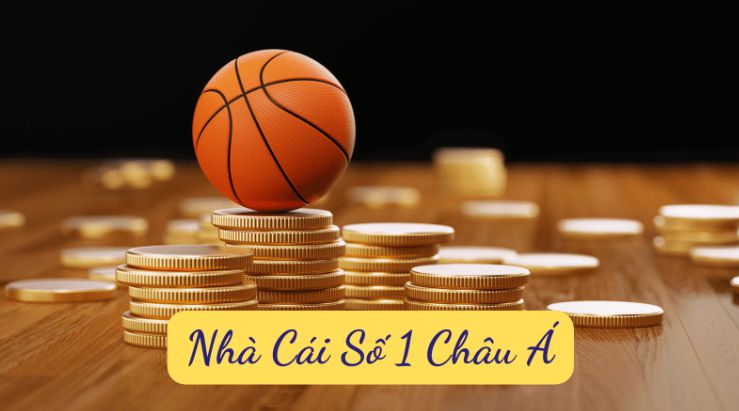 Kimsa, một trang web thể thao đáng tin cậy mà bạn không nên bỏ lỡ - Kimsa