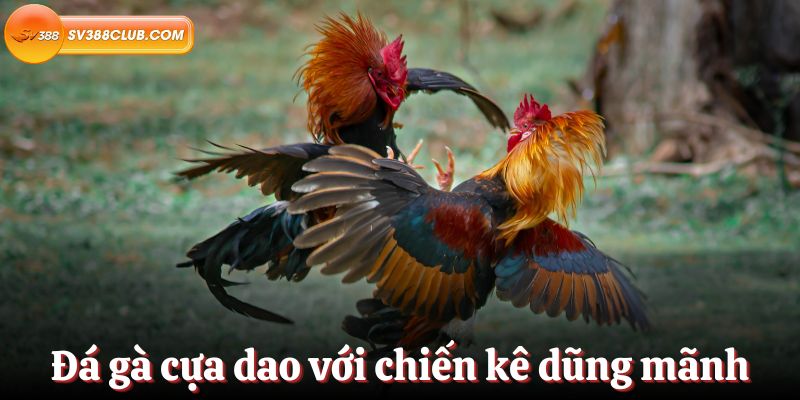 Người nổi tiếng châu Á - 77Bet