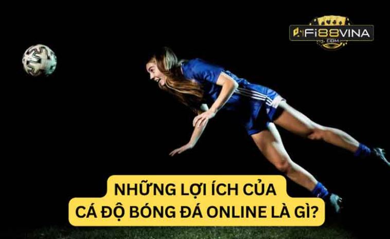 Cá cược không giới hạn Pkvip - Pkvip