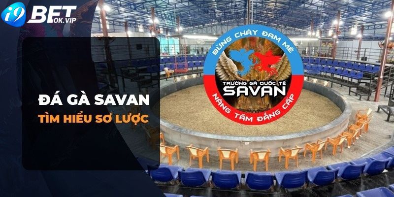 Danh tiếng thực sự ở cấp độ Nohu? - Nohu