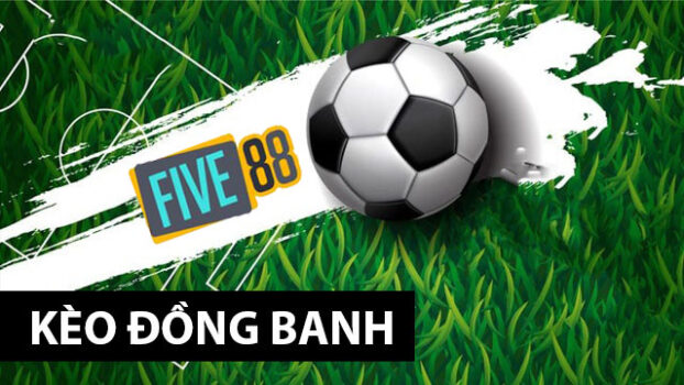 Lý do tại sao các thành viên lựa chọn đặt cược với các công ty cá cược được xếp hạng Bancah5 - Bancah5