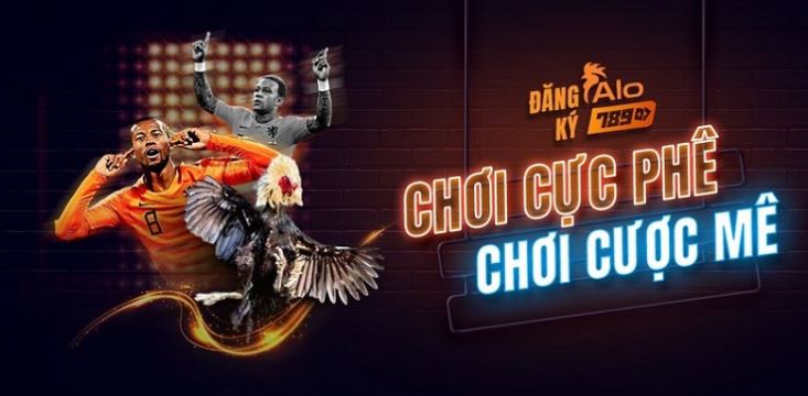 Những lý do bạn không nên bỏ lỡ 11Vn - 11Vn